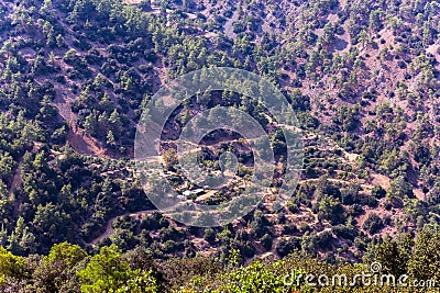 Mountain slopes with trees, terrases and roads in the Troodos re Stock Photo