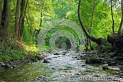 Mountain spring Stock Photo