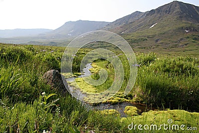 Mountain Spring Stock Photo