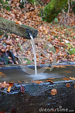 Mountain spring of pure, clear, fresh water with water trough in the forest Stock Photo