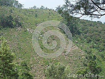 Mountain in Srilanka Stock Photo