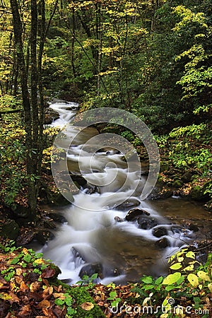 Mountain Stream Stock Photo