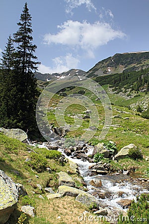 Mountain stream Stock Photo