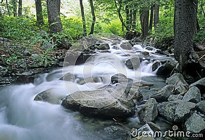 Mountain Stream Stock Photo