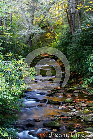 Mountain Stream Art Stock Photo