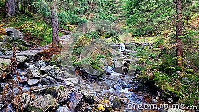 a mountain stream deep in the mountains Stock Photo