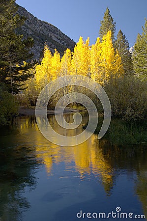 Mountain Stream, Fall Colors Stock Photo