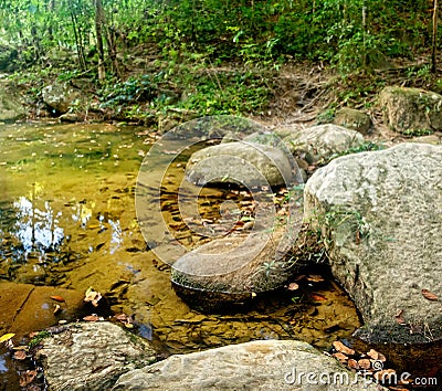 Mountain stream in a forest Stock Photo