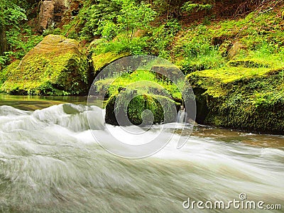 Mountain stream Stock Photo