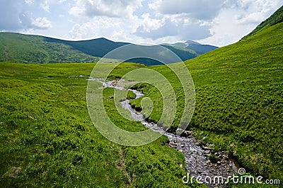 Mountain stream on the green meadow Stock Photo