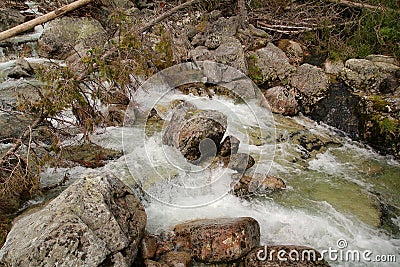 Mountain stream in High Tatras, Slovakia Stock Photo