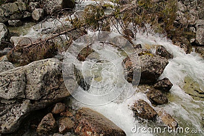 Mountain stream in High Tatras, Slovakia Stock Photo