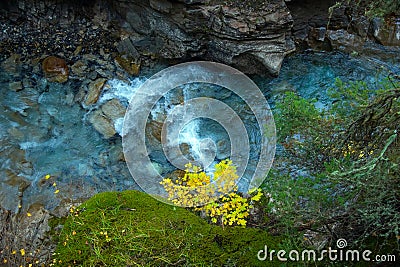 Mountain stream among mossy rocks and yellow leaves Stock Photo