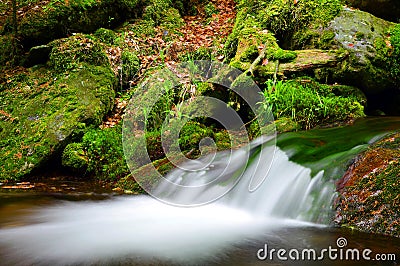 Mountain stream in the national park Sumava Stock Photo