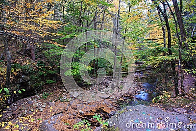 Mountain Stream Ricketts Glen Pennsylvania Stock Photo