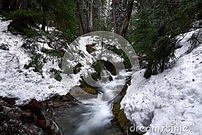 Mountain stream with snowbanks, trees Stock Photo