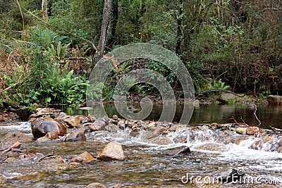 Mountain Stream Victoria Australia 3 Stock Photo