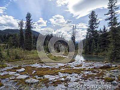 Mountain Streams Leading to a Pond landscape Stock Photo