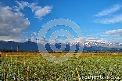 mountain summer landscape with a clearing with blue clear sky and clouds, snow-capped high mountains on the horizon Stock Photo