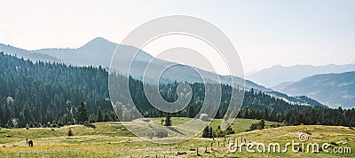 Mountain sunny landscape Stock Photo