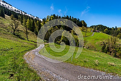 Mountain tour along the Alpenfreiheit premium trail near Oberstaufen Stock Photo