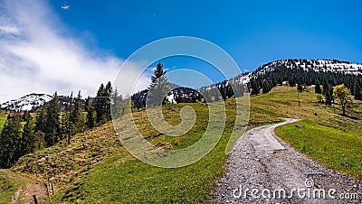 Mountain tour along the Alpenfreiheit premium trail near Oberstaufen Stock Photo