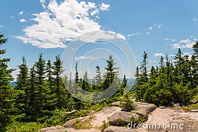 Mountain trees against the blue sky Stock Photo