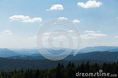 Mountain trees landscape, nature wallpaper. Tourism concept. Carpathians, Ukraine. Copy space for text Stock Photo