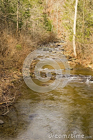 A Mountain Trout Stream in the Blue Ridge Mountains of Virginia, USA Stock Photo