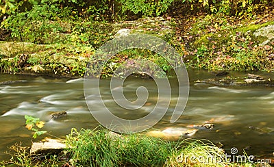 Mountain Trout Stream Stock Photo