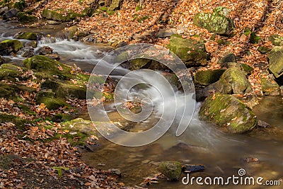 Mountain Trout Stream - 2 Stock Photo