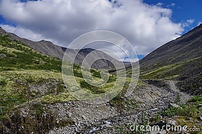 Mountain tundra with mosses and rocks covered with lichens, Hibiny mountains above the Arctic circle, Kola peninsula, Stock Photo