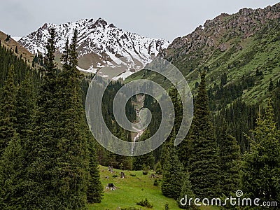 Mountain valley covered with pine trees, in the background snow-capped mountain. Stock Photo