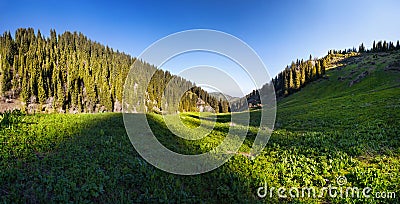 Mountain valley panorama Stock Photo