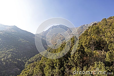 Mountain view Andes and Aconcagua vegetation on clear day in La Campana National park in central Chile Stock Photo