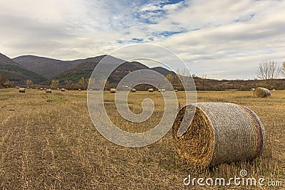 Mountain view with bale field Stock Photo