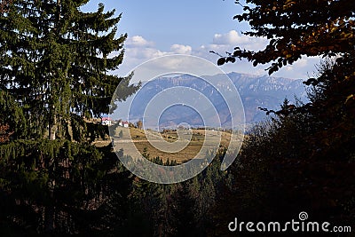 Mountain view through fir trees Stock Photo