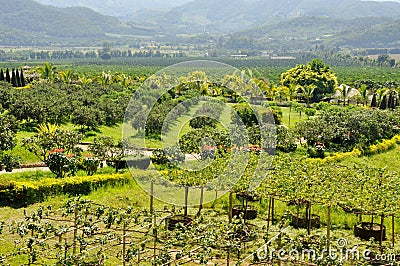 Mountain view with ordinary green bench in the peak of mountain Editorial Stock Photo