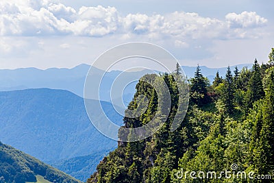 Mountain view with Pine forest Stock Photo