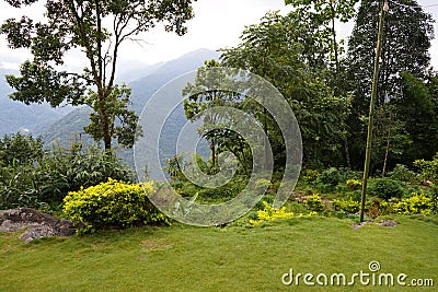 Mountain View Point of Sikkim Offbeat Place Lungchok Stock Photo