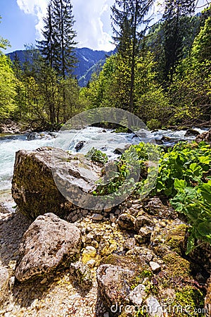 Mountain wild river landscape. River valley in mountains. Wild mountain river panorama. Small waterfall in forest stream. Long Stock Photo