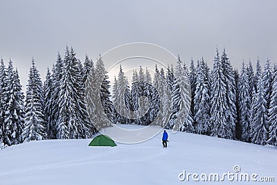 Mountain winter landscape. Tourist stands on the path next to the green tent. Wild forest. Touristic camping rest place. Stock Photo