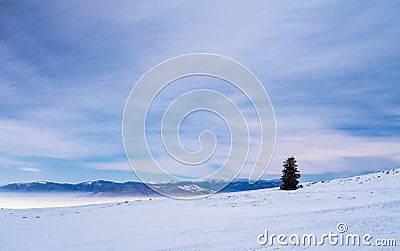 Mountain in winter night landscape Stock Photo