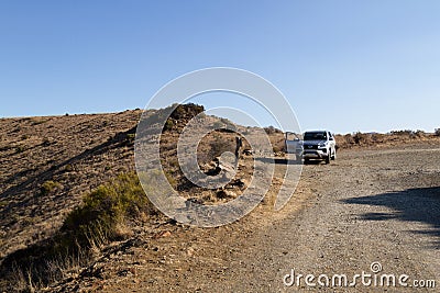 Mountain Zebra National Park, South Africa: Toyota Fortuner on one of the passes Editorial Stock Photo