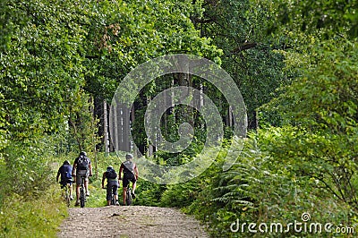 Mountainbikers in a forest Editorial Stock Photo