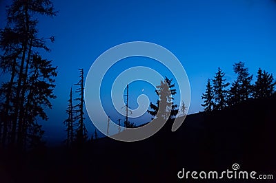 Mountaine night with dark trees and moon Stock Photo