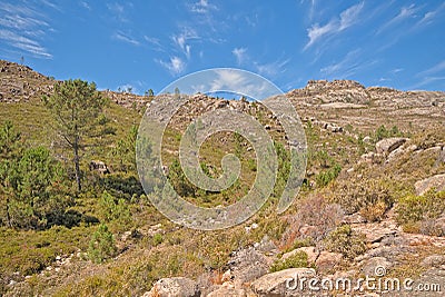 Mountainlandscape with rocks and pine treesl in the Portuguese countryside Stock Photo