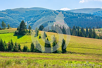 mountainous countryside at high noon. Stock Photo