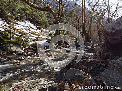 Mountainous rapid river with clear water in the forest in the mountains Dirfis on the island of Evia, Greece Stock Photo