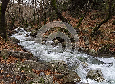 Mountainous rapid river with clear water in the forest in the mountains Dirfys on the island of Evia, Greece Stock Photo